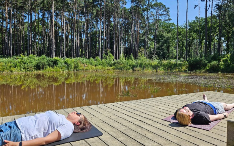 Two participants practicing yoga poses on mats outdoors surrounded by greenery during the Berkshire Forest Retreat by Nikita Thakrar.